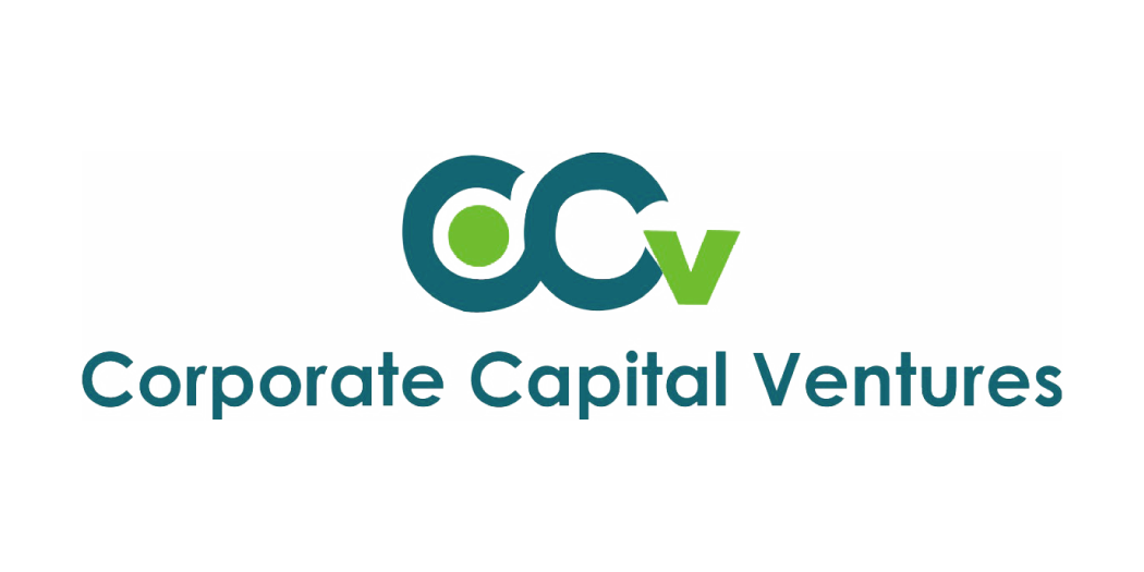 resize logos_CCV
